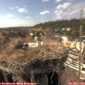 16_10-nest.jpg