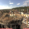 16_15-nest.jpg