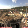 16_20-nest.jpg
