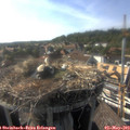 17_25-nest.jpg
