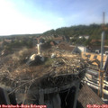 17_40-nest.jpg