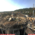 18_00-nest.jpg