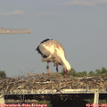 18_10-mast.jpg