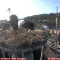 18_40-nest.jpg