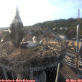 18_50-nest.jpg