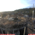 19_25-nest.jpg