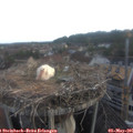 06_25-nest.jpg