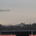 06_30-mast.jpg
