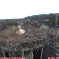 06_40-nest.jpg