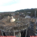 06_55-nest.jpg