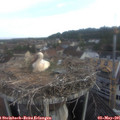 07_00-nest.jpg