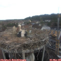 07_25-nest.jpg