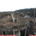 07_30-nest.jpg