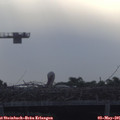 07_45-mast.jpg