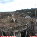 07_55-nest.jpg