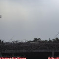 08_05-mast.jpg