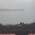 08_15-mast.jpg