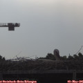 08_20-mast.jpg
