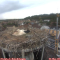 08_30-nest.jpg