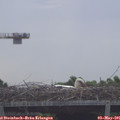 08_40-mast.jpg