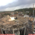 08_40-nest.jpg