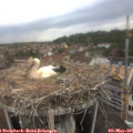 08_45-nest.jpg