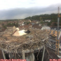 08_55-nest.jpg