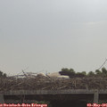 09_00-mast.jpg