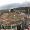 09_00-nest.jpg