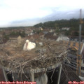 09_20-nest.jpg