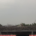 09_25-mast.jpg