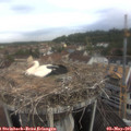 09_25-nest.jpg