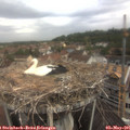 09_40-nest.jpg
