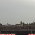 09_45-mast.jpg