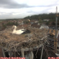 09_45-nest.jpg
