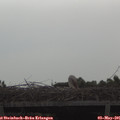 09_55-mast.jpg