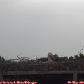 10_00-mast.jpg