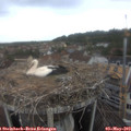 10_00-nest.jpg