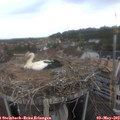 10_05-nest.jpg