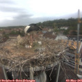 10_45-nest.jpg