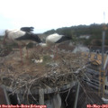 11_35-nest.jpg