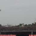 11_40-mast.jpg
