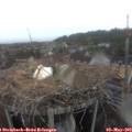 11_45-nest.jpg