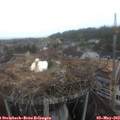 12_00-nest.jpg