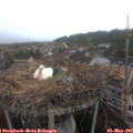 12_05-nest.jpg