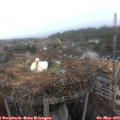 12_15-nest.jpg