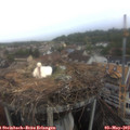12_20-nest.jpg