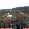 12_30-nest.jpg