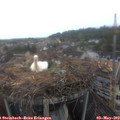 12_35-nest.jpg