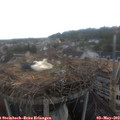12_55-nest.jpg